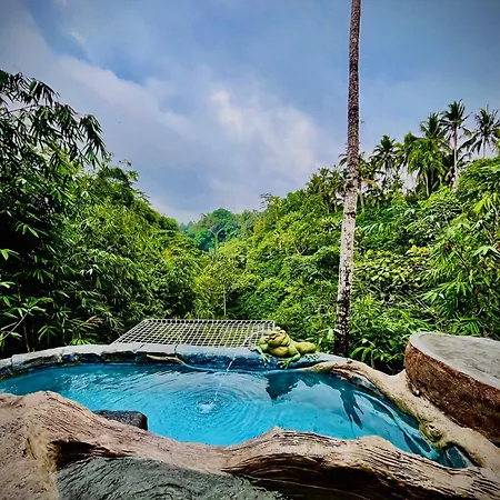 Cabin Swargana Real